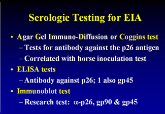 Serologic testing for EIA